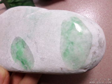 高品质全透缅甸A货阳绿翡翠原石 水好种好的珍品