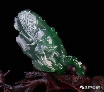 什么样的翡翠才有收藏价值？